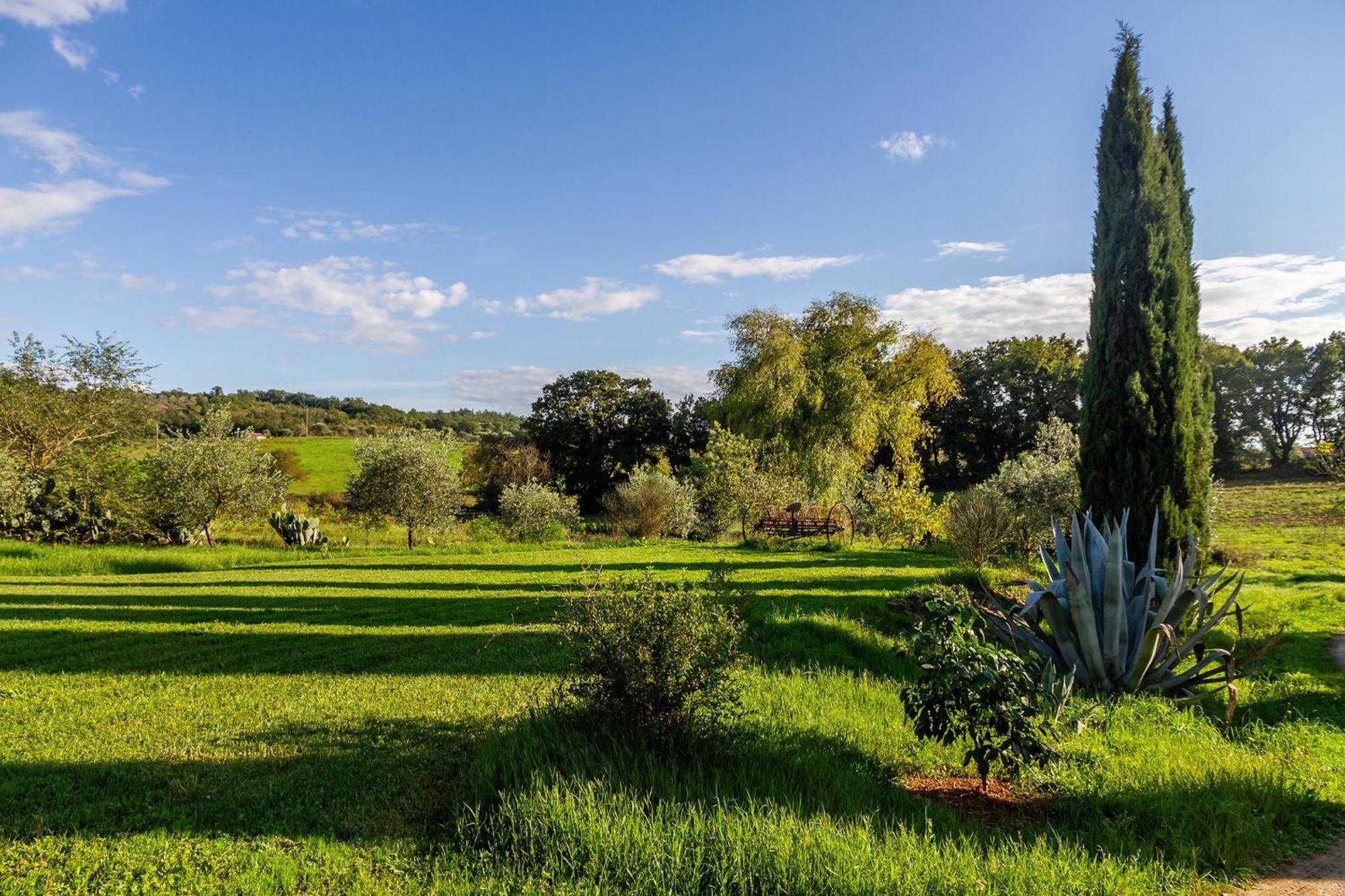 Agriturismo Bio Fattoria Casetta Gavorrano Exterior photo
