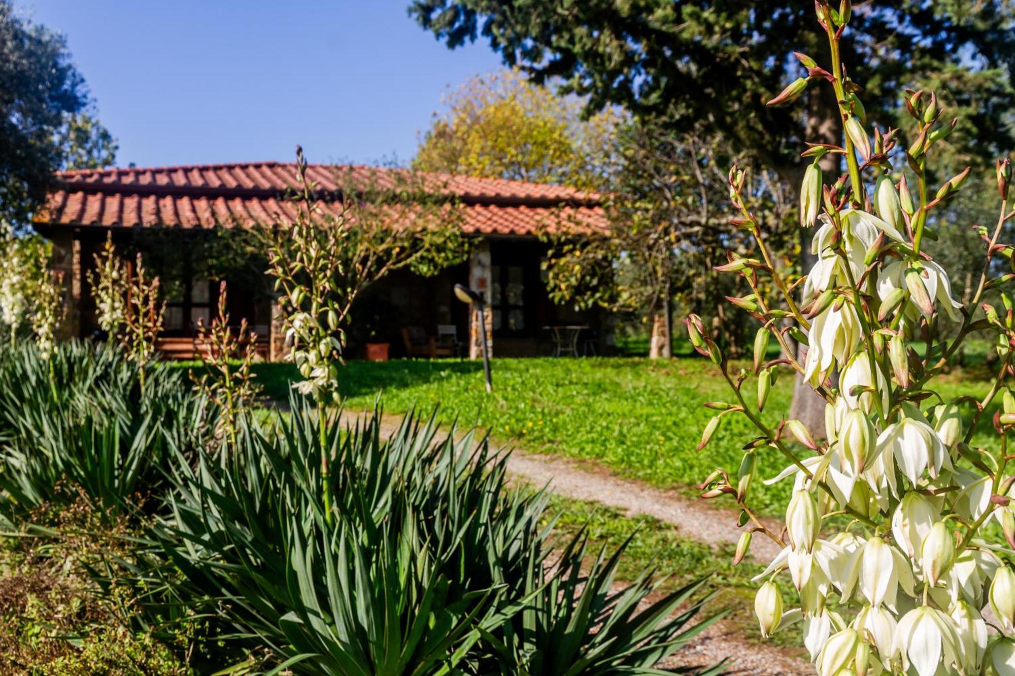 Agriturismo Bio Fattoria Casetta Gavorrano Exterior photo